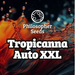 TROPICANNA AUTO XXL ·...