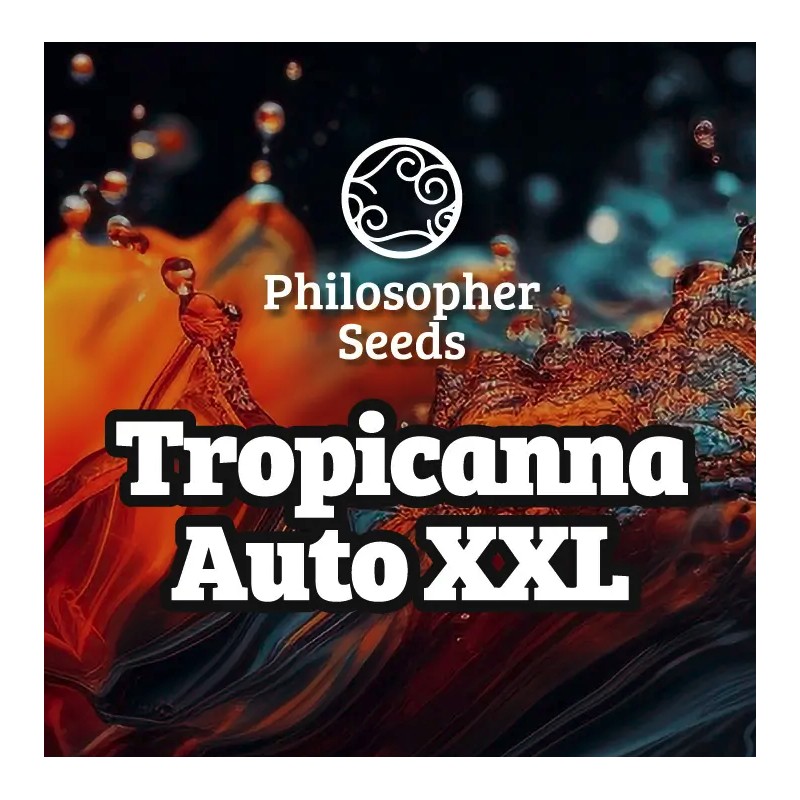 TROPICANNA AUTO XXL · Philosopher Seeds · kaufen cannabis samen · AutoFem