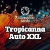 TROPICANNA AUTO XXL · Philosopher Seeds · graines de cannabis · AutoFem