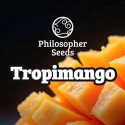 TROPIMANGO · Philosopher...