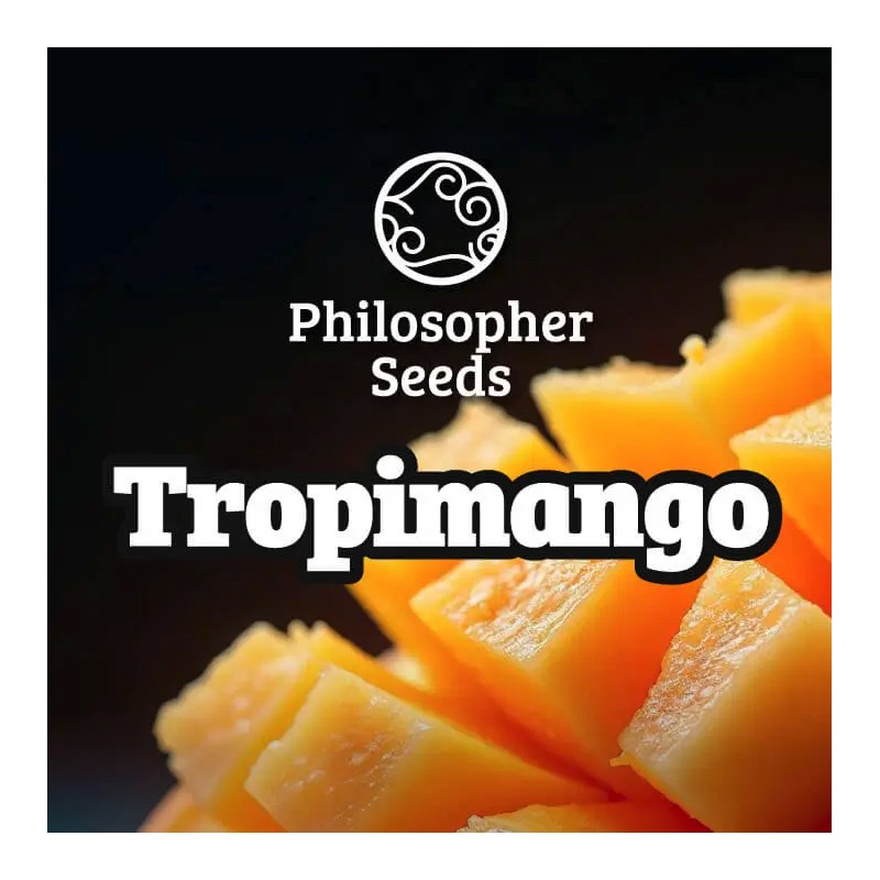 TROPIMANGO · Philosopher Seeds · semi di canapa indiana · Fem