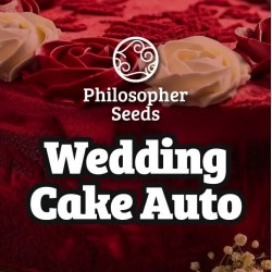 WEDDING CAKE AUTO ·...