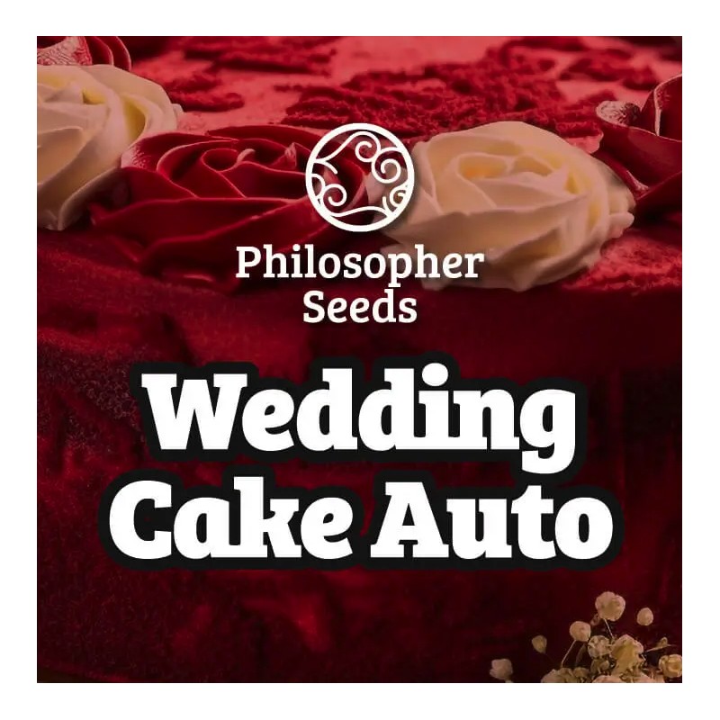 WEDDING CAKE AUTO · Philosopher Seeds · kaufen cannabis samen · AutoFem