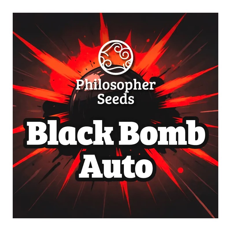 BLACK BOMB AUTO · Philosopher Seeds · sementes de maconha · AutoFem