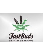 Fast Buds