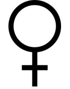 Sementes de Maconha Feminizadas