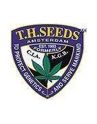 T.H Seeds Feminisées